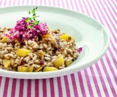 Risotto with Red Lentils, Radish and Topinamur